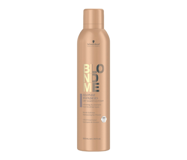 Dry Shampoo Foam